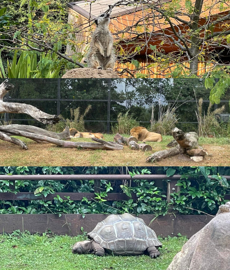 Melbourne Zoo