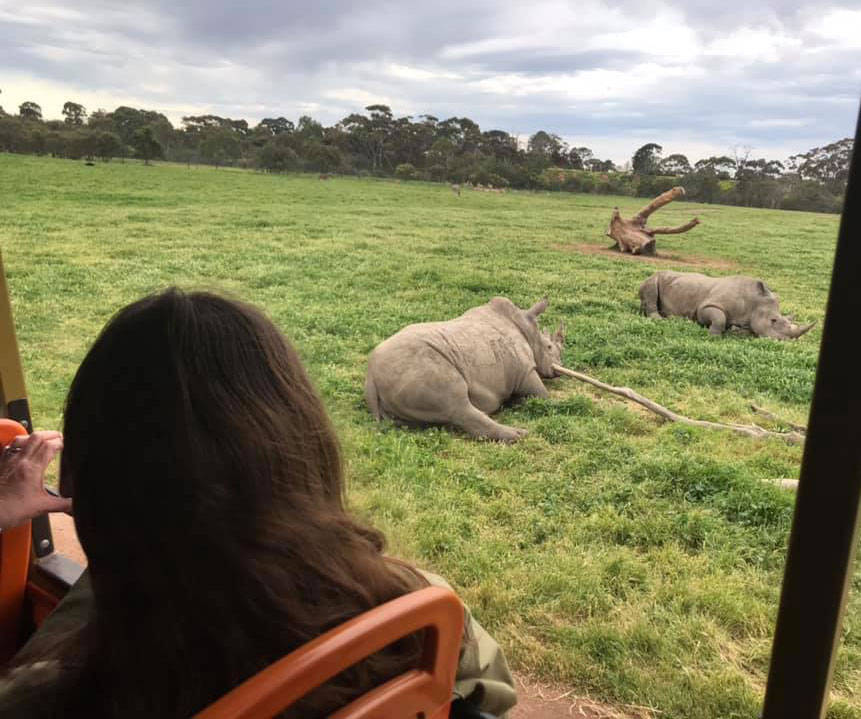 Werribee Open Zoo